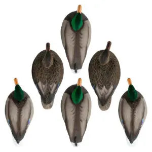Hardcore Rugged Std Mallard Floater Drake Head 6pk