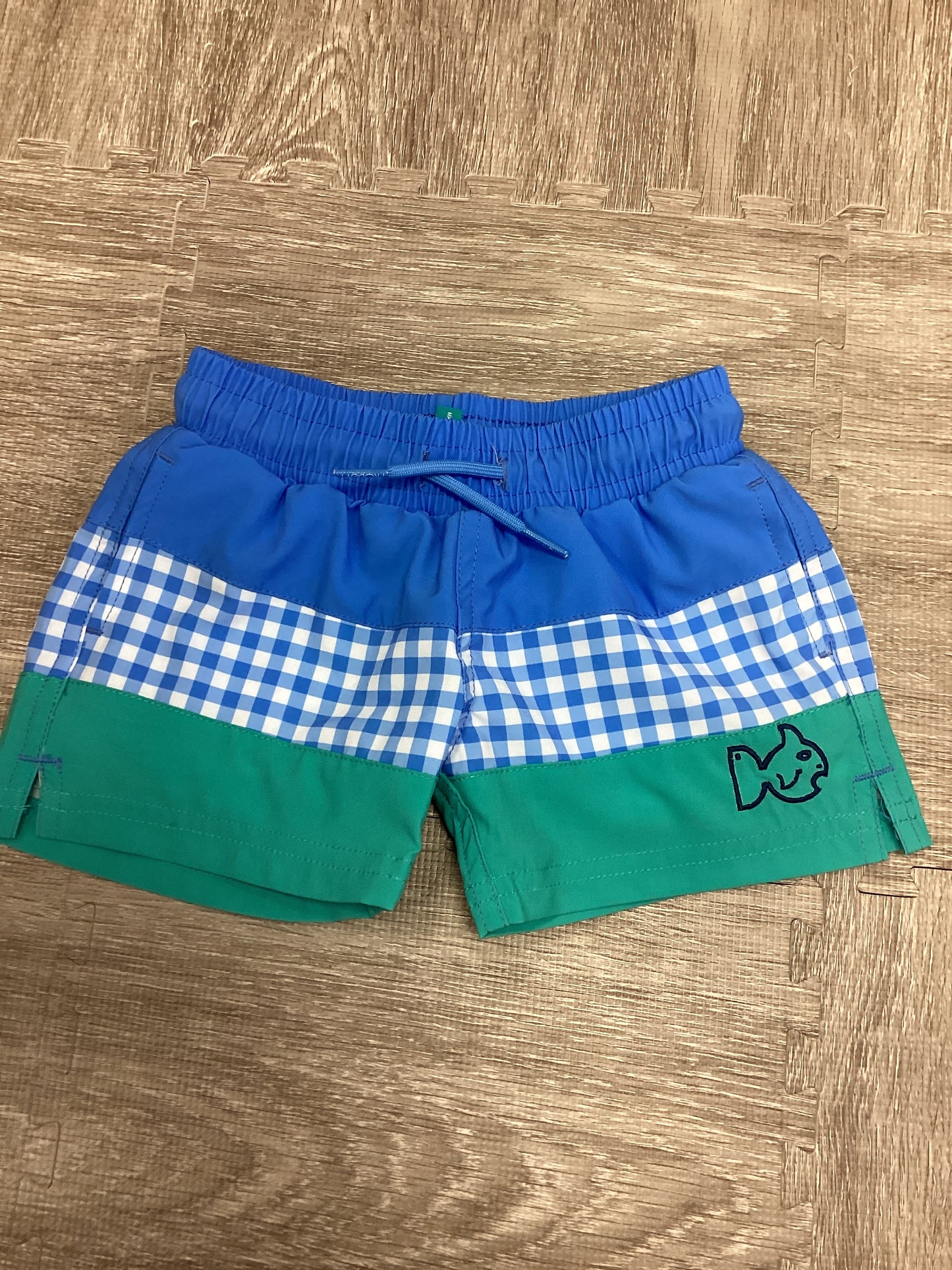 Prodoh Boys Boogie Board Swim Trunk in Marina Blue Gingham and Atlantis Green Colorblock