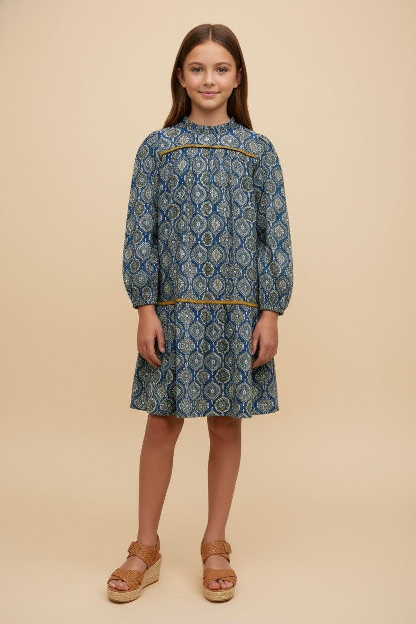 Denim Contrast Dress by Hayden Los Angeles – Cardinal Creek Spaniels
