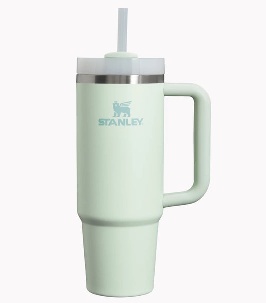 Stanley Quencher H2.0 FlowState Tumbler 30oz Mist