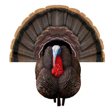 Higdon Apex Strutter Turkey Decoy