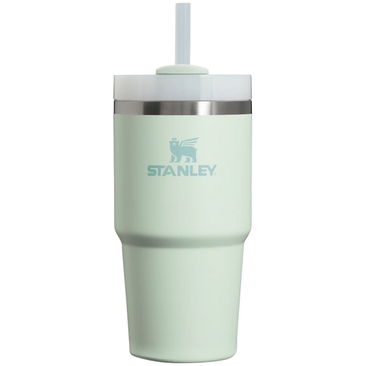 Stanley The Quencher H2.0 Flowstate 20 oz Tumbler Mist