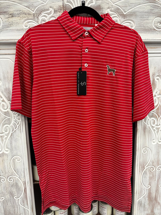 Cardinal Creek Red and White Stripe Polo