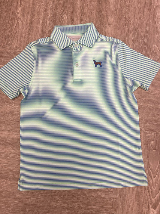 Cardinal Creek Lime/Seablue/White Polo