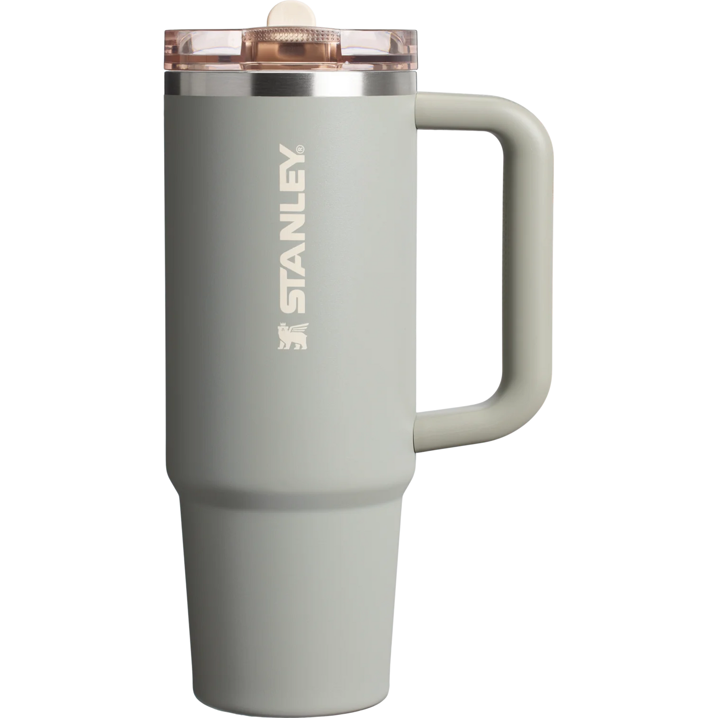 Stanley The Quencher ProTour Flip Straw Tumbler 30 OZ in Sage Grey